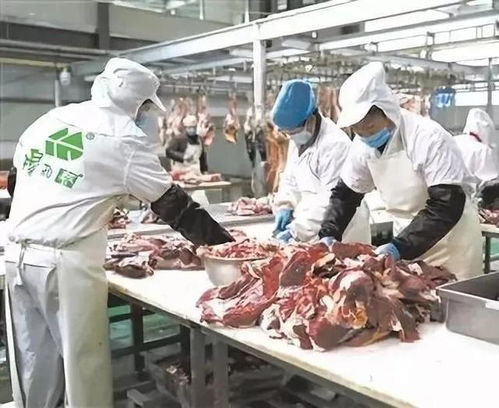 喜訊 青海四家企業(yè)獲得第七批農(nóng)業(yè)產(chǎn)業(yè)化國家重點龍頭企業(yè)榮譽(yù)