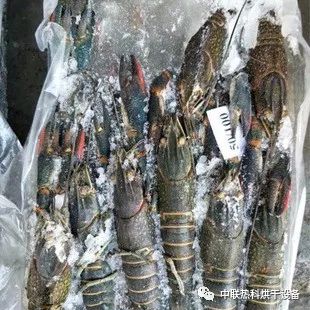 北京疾控發(fā)布冷鏈?zhǔn)称钒踩秤锰嵝? />
</span>
<span id=