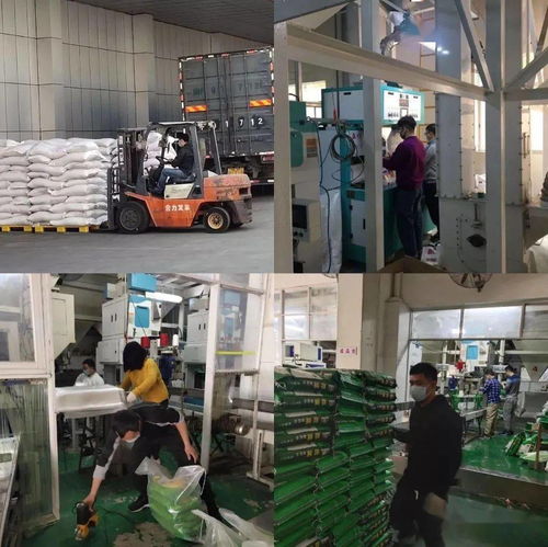 全國名單 增城這家企業(yè)上榜