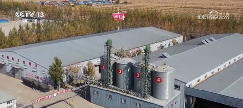 五谷豐登滿廩倉(cāng) 金秋喜看各地好 豐 景