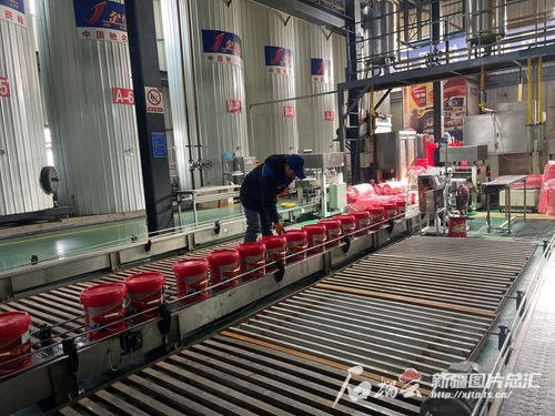 機遇中國之下的奮進(jìn)新疆 寫在全國兩會召開之際
